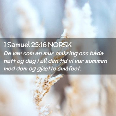 Picture 02 - 1 Samuel 25:16 NORSK - De var som en mur omkring oss både natt og dag i - Bible Verse Picture