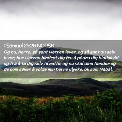 Picture 02 - 1 Samuel 25:26 NORSK - Og nu, herre, så sant Herren lever, og så sant - Bible Verse Picture