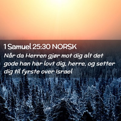Picture 02 - 1 Samuel 25:30 NORSK - Når da Herren gjør mot dig alt det gode han har - Bible Verse Picture