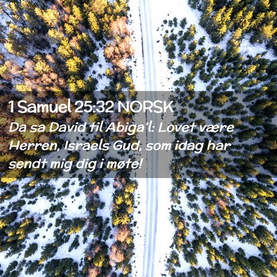 Picture 02 - 1 Samuel 25:32 NORSK - Da sa David til Abiga'l: Lovet være Herren, - Bible Verse Picture