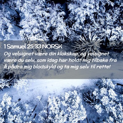 Picture 02 - 1 Samuel 25:33 NORSK - Og velsignet være din klokskap, og velsignet - Bible Verse Picture
