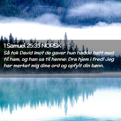 Picture 02 - 1 Samuel 25:35 NORSK - Så tok David imot de gaver hun hadde hatt med - Bible Verse Picture