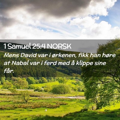 Picture 02 - 1 Samuel 25:4 NORSK - Mens David var i ørkenen, fikk han høre at - Bible Verse Picture