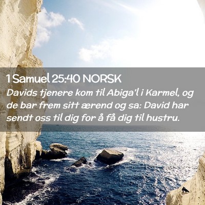 Picture 02 - 1 Samuel 25:40 NORSK - Davids tjenere kom til Abiga'l i Karmel, og de - Bible Verse Picture