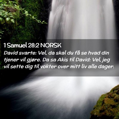 Picture 02 - 1 Samuel 28:2 NORSK - David svarte: Vel, da skal du få se hvad din - Bible Verse Picture