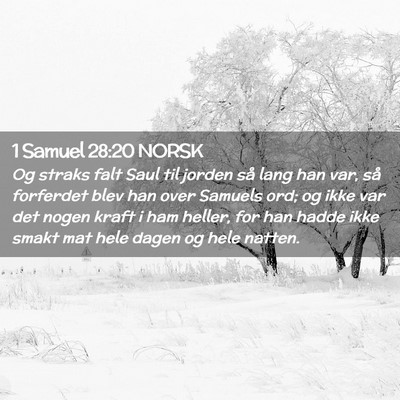 Picture 02 - 1 Samuel 28:20 NORSK - Og straks falt Saul til jorden så lang han var, - Bible Verse Picture