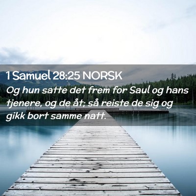 Picture 02 - 1 Samuel 28:25 NORSK - Og hun satte det frem for Saul og hans tjenere, - Bible Verse Picture