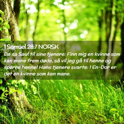 Picture 02 - 1 Samuel 28:7 NORSK - Da sa Saul til sine tjenere: Finn mig en kvinne - Bible Verse Picture