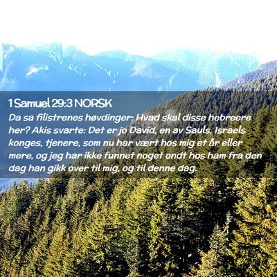 Picture 02 - 1 Samuel 29:3 NORSK - Da sa filistrenes høvdinger: Hvad skal disse - Bible Verse Picture