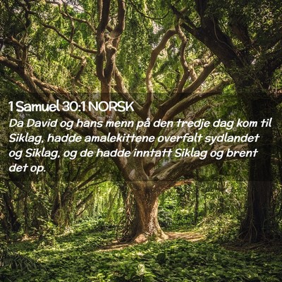 Picture 02 - 1 Samuel 30:1 NORSK - Da David og hans menn på den tredje dag kom til - Bible Verse Picture