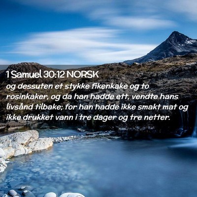 Picture 02 - 1 Samuel 30:12 NORSK - og dessuten et stykke fikenkake og to rosinkaker, - Bible Verse Picture