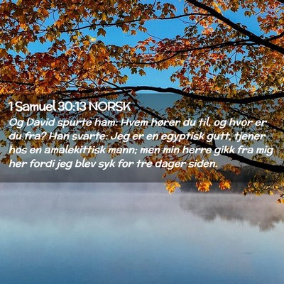 Picture 02 - 1 Samuel 30:13 NORSK - Og David spurte ham: Hvem hører du til, og hvor - Bible Verse Picture