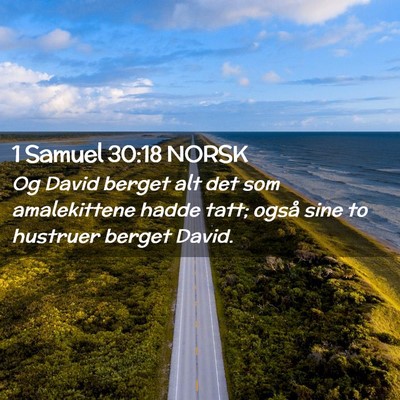 Picture 02 - 1 Samuel 30:18 NORSK - Og David berget alt det som amalekittene hadde - Bible Verse Picture