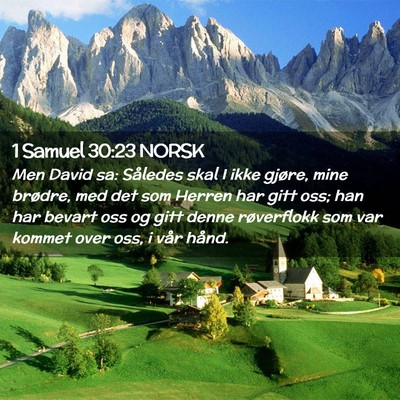Picture 02 - 1 Samuel 30:23 NORSK - Men David sa: Således skal I ikke gjøre, mine - Bible Verse Picture