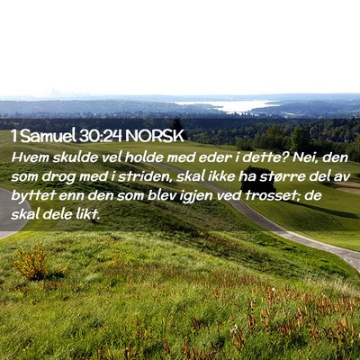 Picture 02 - 1 Samuel 30:24 NORSK - Hvem skulde vel holde med eder i dette? Nei, den - Bible Verse Picture