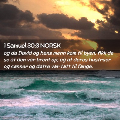 Picture 02 - 1 Samuel 30:3 NORSK - og da David og hans menn kom til byen, fikk de se - Bible Verse Picture