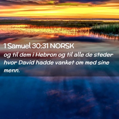 Picture 02 - 1 Samuel 30:31 NORSK - og til dem i Hebron og til alle de steder hvor - Bible Verse Picture