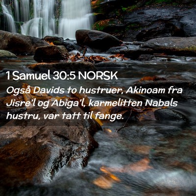Picture 02 - 1 Samuel 30:5 NORSK - Også Davids to hustruer, Akinoam fra Jisre'l og - Bible Verse Picture