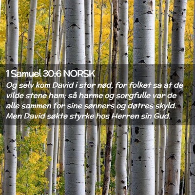 Picture 02 - 1 Samuel 30:6 NORSK - Og selv kom David i stor nød, for folket sa at - Bible Verse Picture