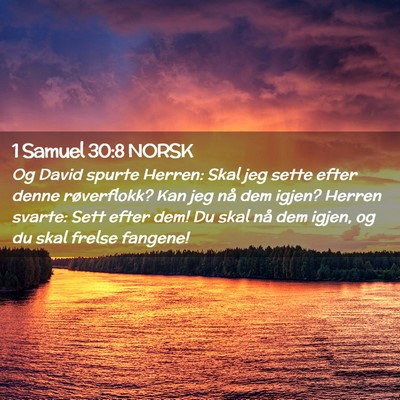Picture 02 - 1 Samuel 30:8 NORSK - Og David spurte Herren: Skal jeg sette efter - Bible Verse Picture