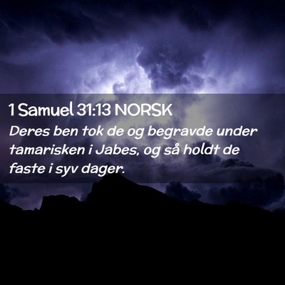 Picture 02 - 1 Samuel 31:13 NORSK - Deres ben tok de og begravde under tamarisken i - Bible Verse Picture