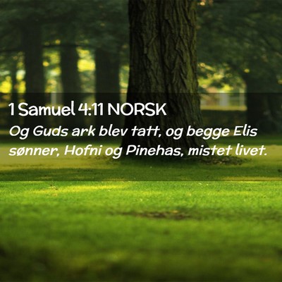 Picture 02 - 1 Samuel 4:11 NORSK - Og Guds ark blev tatt, og begge Elis sønner, - Bible Verse Picture