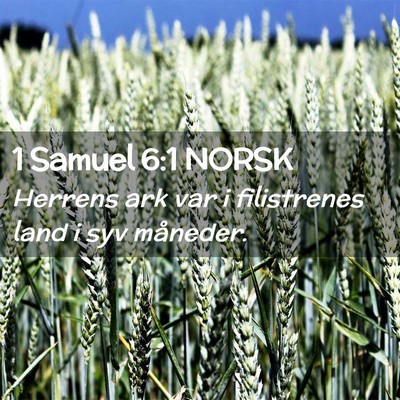 Picture 02 - 1 Samuel 6:1 NORSK - Herrens ark var i filistrenes land i syv - Bible Verse Picture