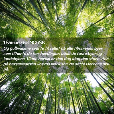 Picture 02 - 1 Samuel 6:18 NORSK - Og gullmusene svarte til tallet på alle - Bible Verse Picture