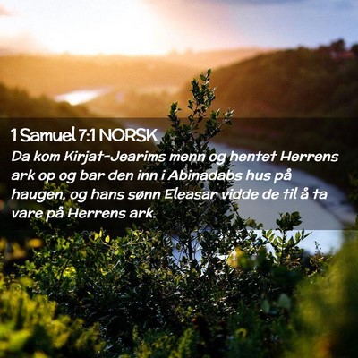 Picture 02 - 1 Samuel 7:1 NORSK - Da kom Kirjat-Jearims menn og hentet Herrens ark - Bible Verse Picture