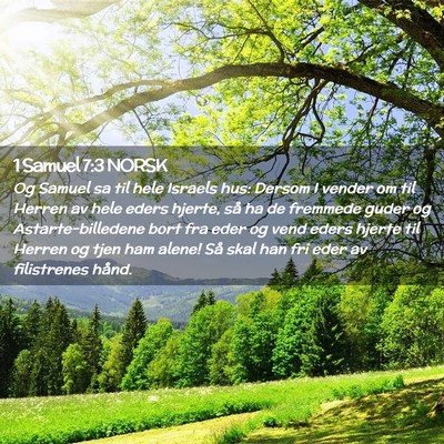 Picture 02 - 1 Samuel 7:3 NORSK - Og Samuel sa til hele Israels hus: Dersom I - Bible Verse Picture