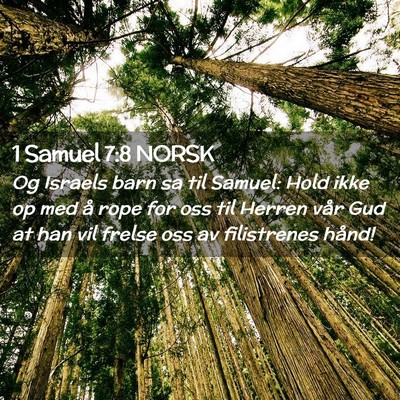 Picture 02 - 1 Samuel 7:8 NORSK - Og Israels barn sa til Samuel: Hold ikke op med - Bible Verse Picture
