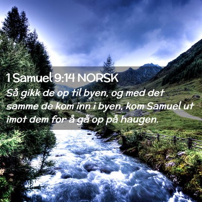 Picture 02 - 1 Samuel 9:14 NORSK - Så gikk de op til byen, og med det samme de kom - Bible Verse Picture