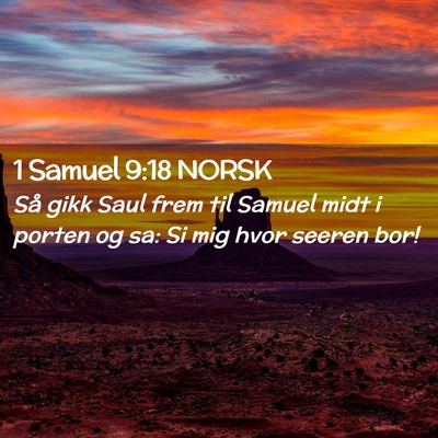 Picture 02 - 1 Samuel 9:18 NORSK - Så gikk Saul frem til Samuel midt i porten og - Bible Verse Picture