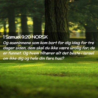 Picture 02 - 1 Samuel 9:20 NORSK - Og aseninnene som kom bort for dig idag for tre - Bible Verse Picture