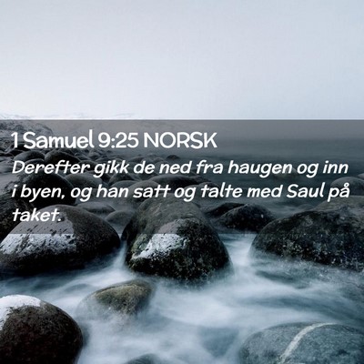 Picture 02 - 1 Samuel 9:25 NORSK - Derefter gikk de ned fra haugen og inn i byen, og - Bible Verse Picture