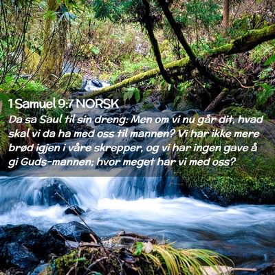 Picture 02 - 1 Samuel 9:7 NORSK - Da sa Saul til sin dreng: Men om vi nu går dit, - Bible Verse Picture