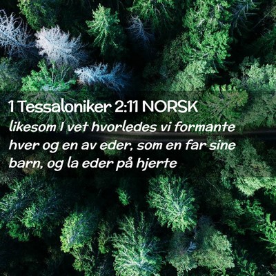 Picture 02 - 1 Tessaloniker 2:11 NORSK - likesom I vet hvorledes vi formante hver og en av - Bible Verse Picture