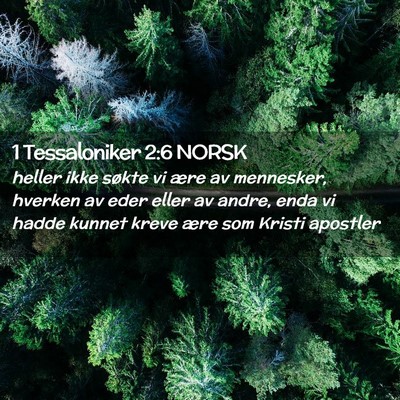 Picture 02 - 1 Tessaloniker 2:6 NORSK - heller ikke søkte vi ære av mennesker, hverken - Bible Verse Picture