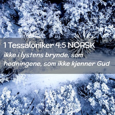 Picture 02 - 1 Tessaloniker 4:5 NORSK - ikke i lystens brynde, som hedningene, som ikke - Bible Verse Picture