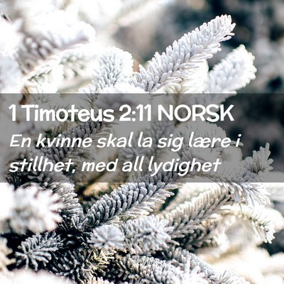 Picture 02 - 1 Timoteus 2:11 NORSK - En kvinne skal la sig lære i stillhet, med all - Bible Verse Picture