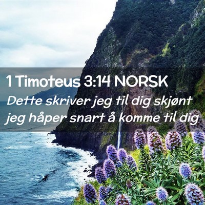 Picture 02 - 1 Timoteus 3:14 NORSK - Dette skriver jeg til dig skjønt jeg håper - Bible Verse Picture