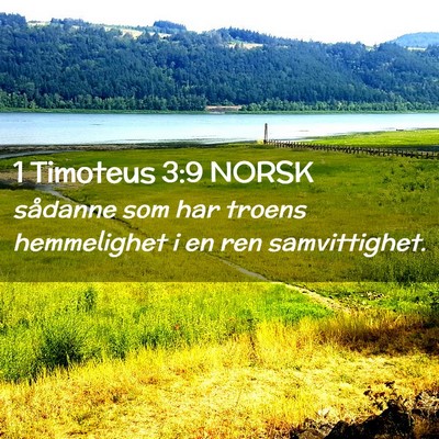 Picture 02 - 1 Timoteus 3:9 NORSK - sådanne som har troens hemmelighet i en ren - Bible Verse Picture