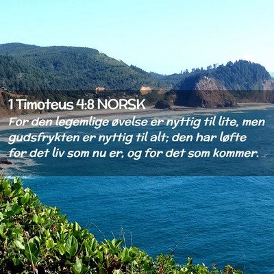 Picture 02 - 1 Timoteus 4:8 NORSK - For den legemlige øvelse er nyttig til lite, men - Bible Verse Picture