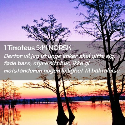 Picture 02 - 1 Timoteus 5:14 NORSK - Derfor vil jeg at unge enker skal gifte sig, - Bible Verse Picture