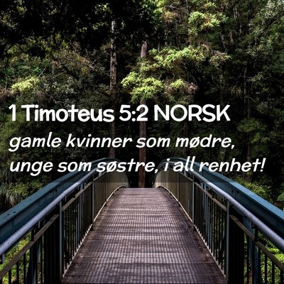 Picture 02 - 1 Timoteus 5:2 NORSK - gamle kvinner som mødre, unge som søstre, i all - Bible Verse Picture