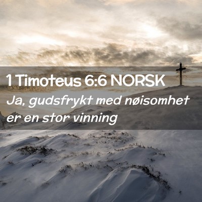 Picture 02 - 1 Timoteus 6:6 NORSK - Ja, gudsfrykt med nøisomhet er en stor - Bible Verse Picture