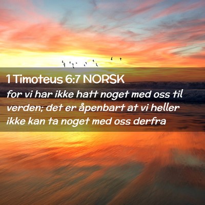 Picture 02 - 1 Timoteus 6:7 NORSK - for vi har ikke hatt noget med oss til verden; - Bible Verse Picture