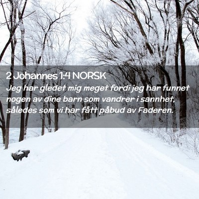 Picture 02 - 2 Johannes 1:4 NORSK - Jeg har gledet mig meget fordi jeg har funnet - Bible Verse Picture