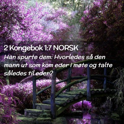 Picture 02 - 2 Kongebok 1:7 NORSK - Han spurte dem: Hvorledes så den mann ut som kom - Bible Verse Picture