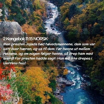 Picture 02 - 2 Kongebok 11:15 NORSK - Men presten Jojada bød høvedsmennene, dem som - Bible Verse Picture